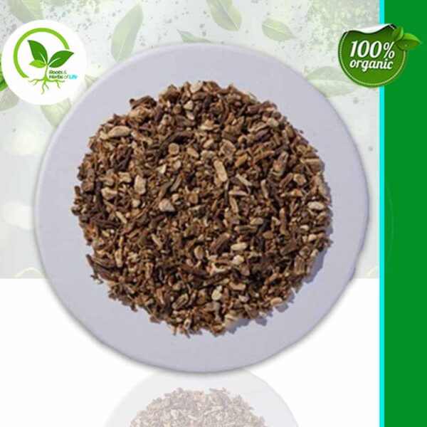 ANGELICA ROOT C/S ORGANIC