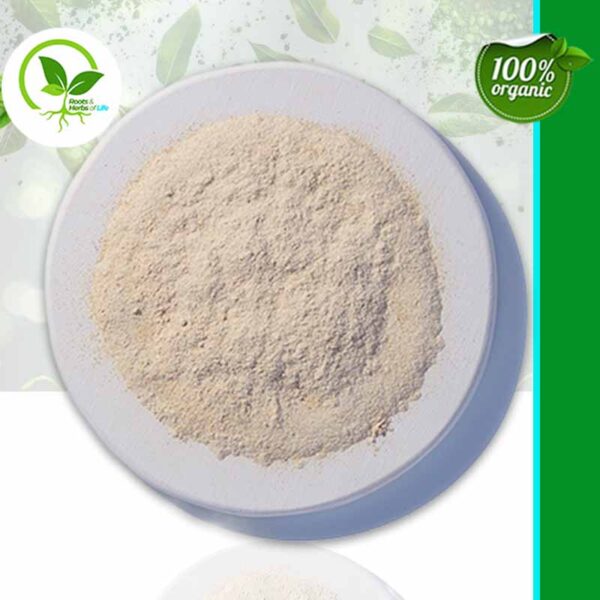 ASTRAGALUS ROOT POWDER ORGANIC