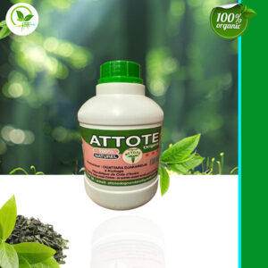 Attote Original 100% Organic Natural Herbal Drink