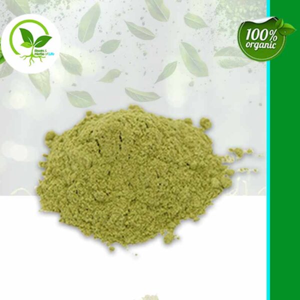 BARLEY GRASS POWDER ORGANIC