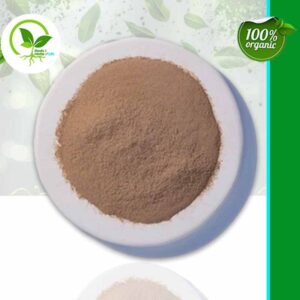BURDOCK ROOT POWDER ORGANIC
