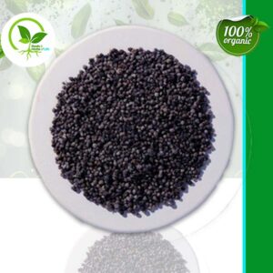 CHASTE TREE BERRIES WH ORGANIC