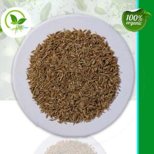 CUMIN SEED ORGANIC