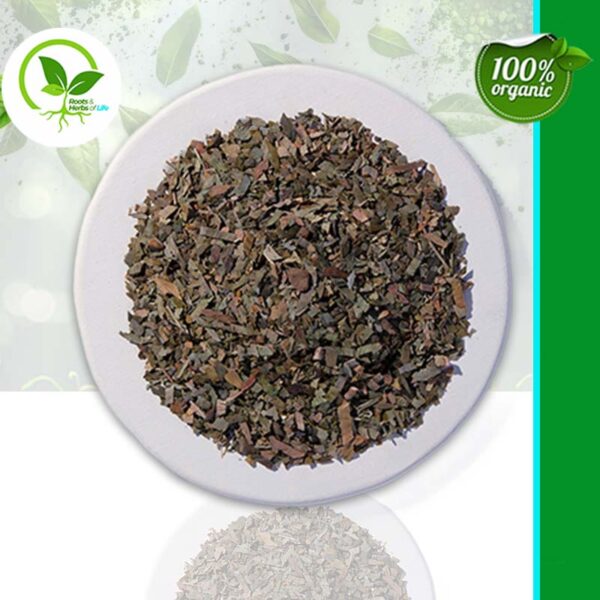 GINKGO LEAF C/S ORGANIC