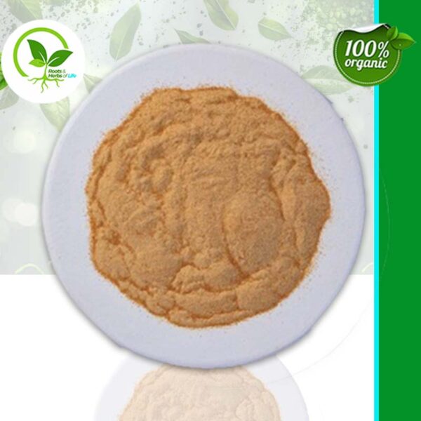 GINSENG ROOT PWD RED ORGANIC