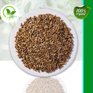 MILK THISTLE SEED ORGANIC