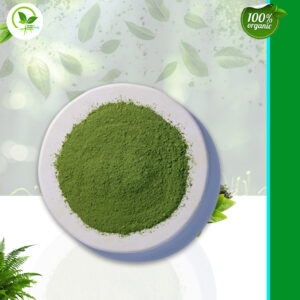 Matcha tea Powder