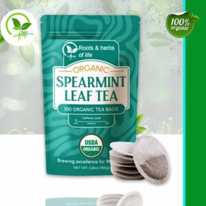 SPEARMINT TEA BAGS ORGANIC - 20 CT
