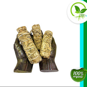 Sage smudge sticks