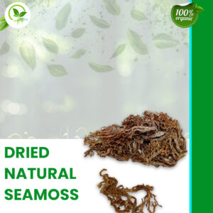 Dried seamoss