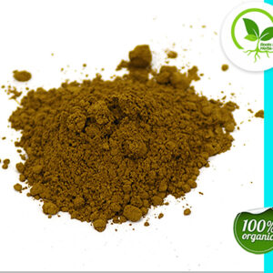 ALOE EXTRACT POWDER