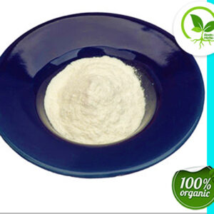 APPLE CIDER VINEGAR POWDER