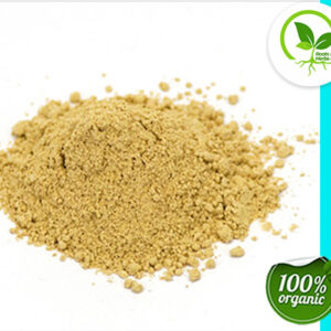ASTRAGALUS ROOT POWDER