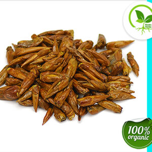 BALM OF GILEAD BUDS ORGANIC