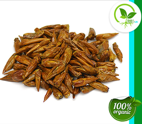 BALM OF GILEAD BUDS ORGANIC