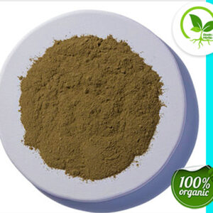 BASIL LEAF POWDER ORGANIC