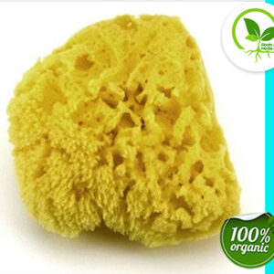 BATH SEA SPONGE 4-5"