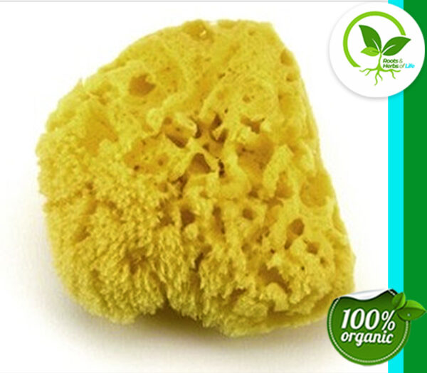 BATH SEA SPONGE 4-5"