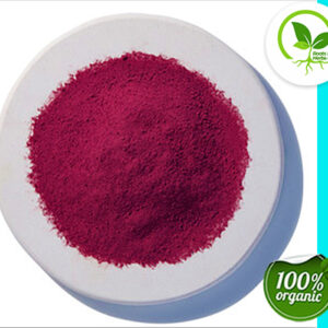 BEET ROOT POWDER INDIA ORG