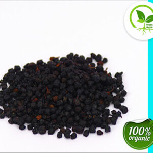 BILBERRIES ORGANIC 4 OZ