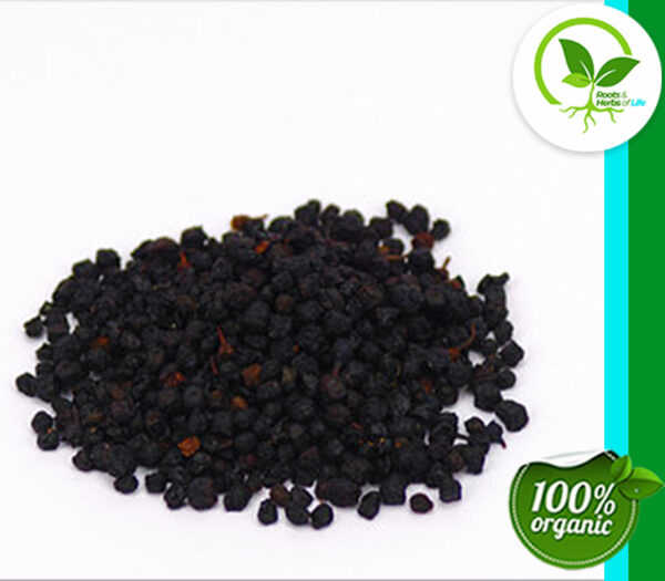 BILBERRIES ORGANIC 4 OZ