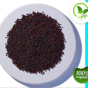 BROCCOLI SEED ORGANIC
