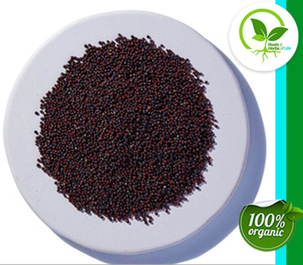 BROCCOLI SEED ORGANIC