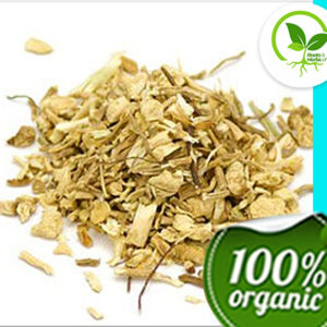 BUTCHERS BROOM ROOT C/S OG