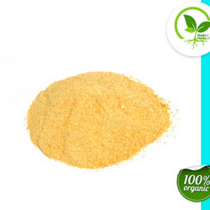 CARROT POWDER ORGANIC