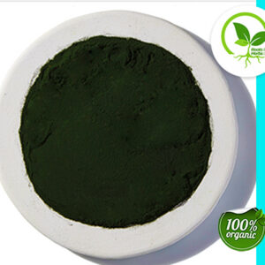 CHLORELLA POWDER CHINA OG
