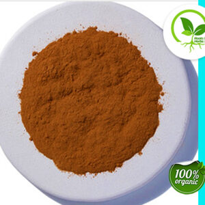 CINNAMON POWDER