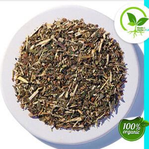 CIRCULATION TEA ORGANIC