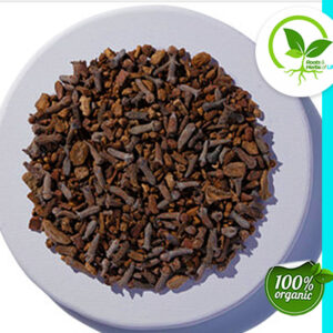 CITRUS SPICE CLEANSING TEA ORGANIC