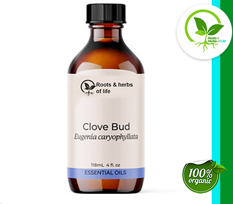 CLOVE BUD OIL ORGANIC 16 OZ