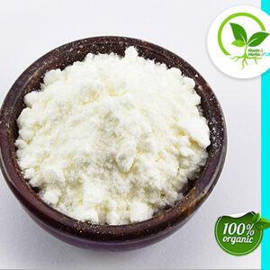 COCONUT MILK POWDER ORGANIC