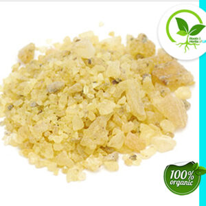 COPAL ORO (GOLD) PIECES WC