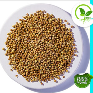 CORIANDER SEED ORGANIC