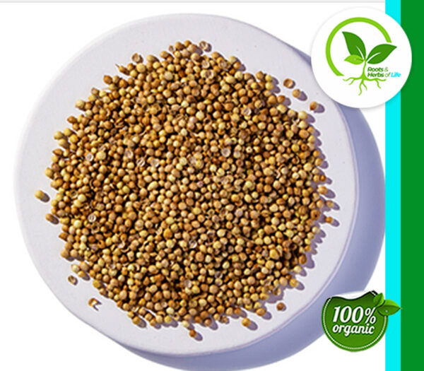 CORIANDER SEED ORGANIC