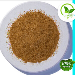 CORIANDER SEED POWDER ORGANIC