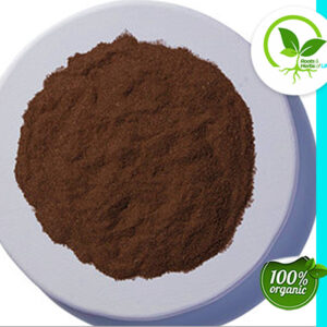 CORNSILK POWDER ORGANIC