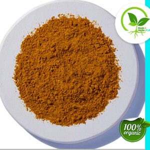CURRY POWDER SALT FREE ORGANIC