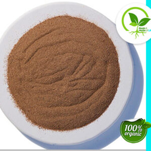 DANDELION ROOT RAW POWDER ORGANIC