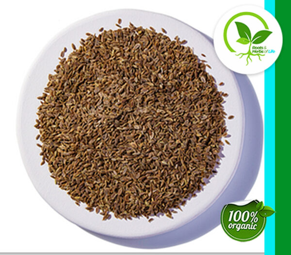 DILL SEED ORGANIC