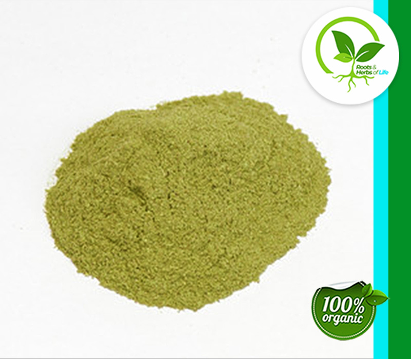 ECHINACEA ANG HERB PWD OG 4 OZ