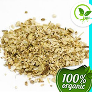 ECHINACEA ANG ROOT C/S ORGANIC