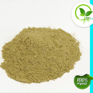 ECHINACEA ANG ROOT PWD ORGANIC
