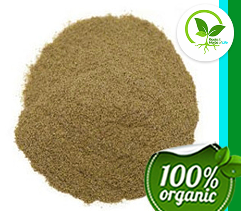 ECHINACEA PURP ROOT PWD ORGANIC 4 OZ