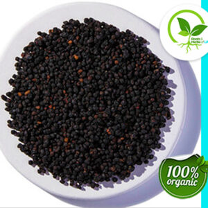ELDERBERRIES WHOLE WC 4 OZ