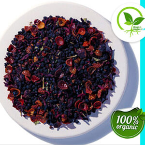 ELDERBERRY SUPPORT TEA ORGANIC