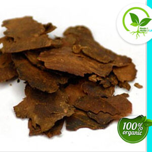FO-TI ROOT THIN SLICED CURED